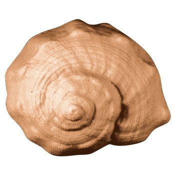 CONCH MILKY WAY SOAP MOLD