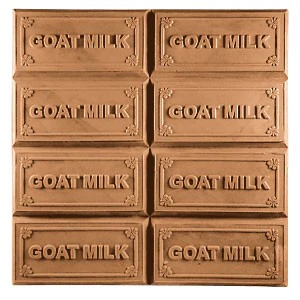 Goat Milk Tray Milky Way Soap Mold