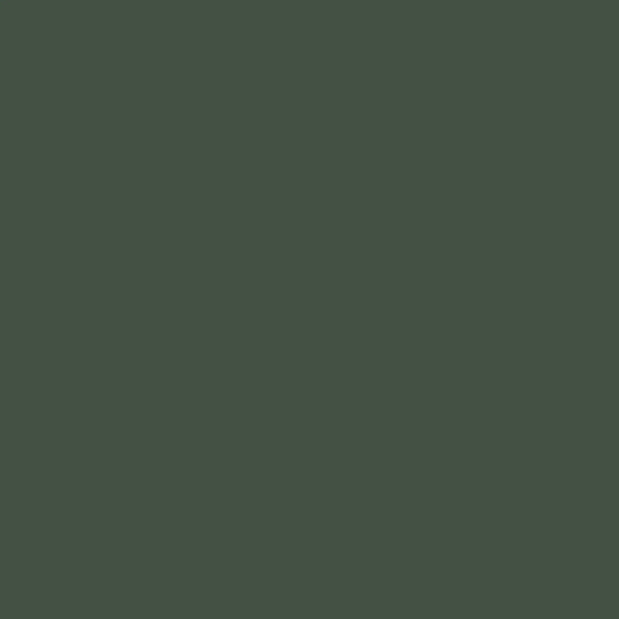 Reddig-Glo Diamond Dye Chips - Forest Green