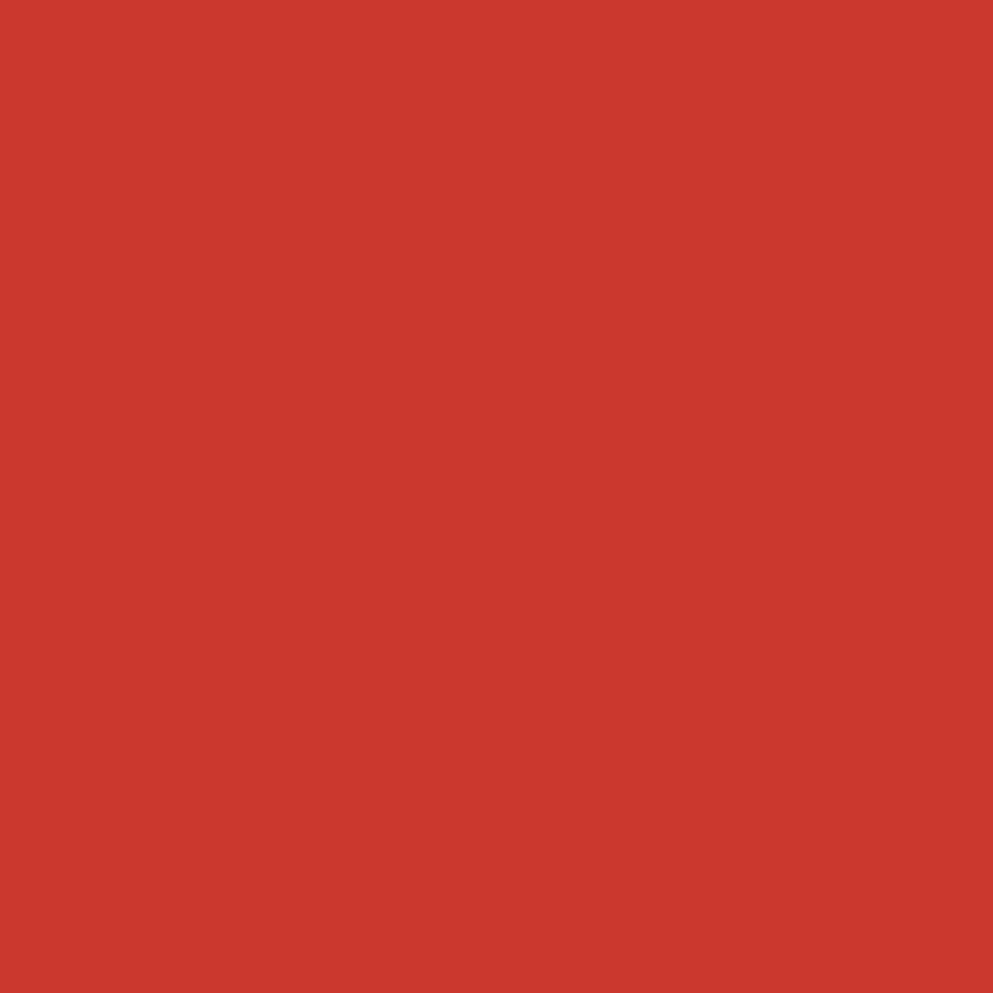 Reddig-Glo Diamond Dye Chips - Red